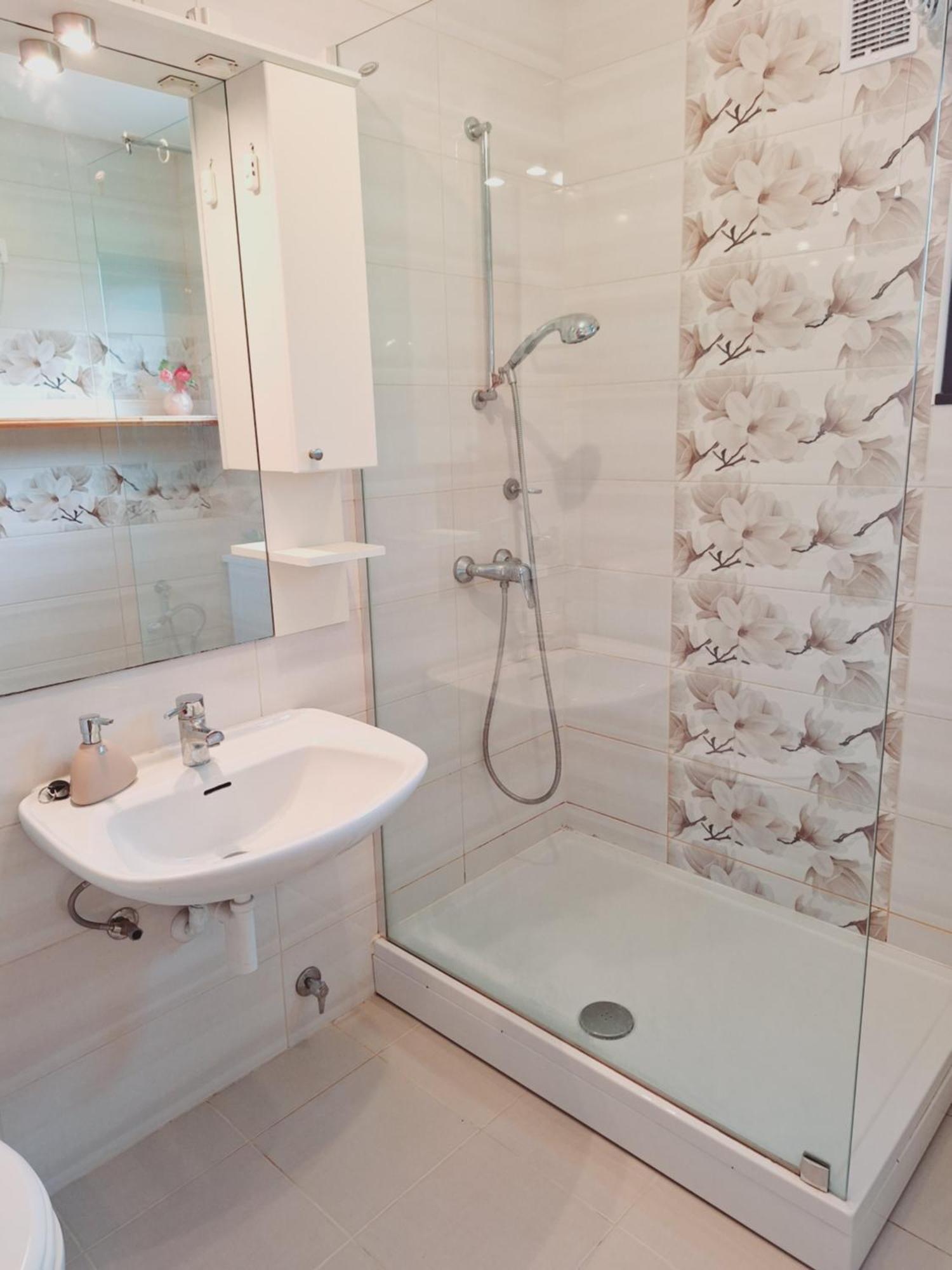 Apartma Ferjan Apartment Zaga